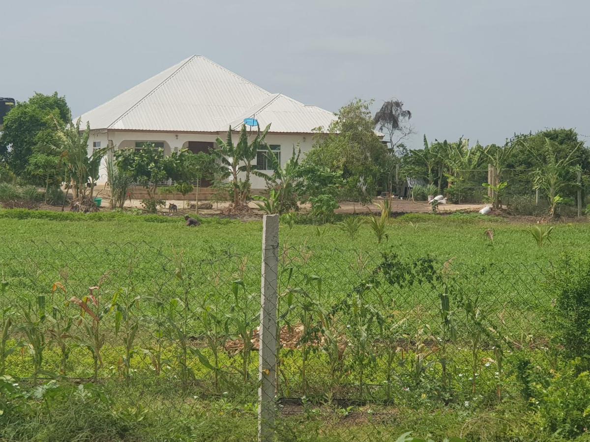 Paje Farm House 외부 사진